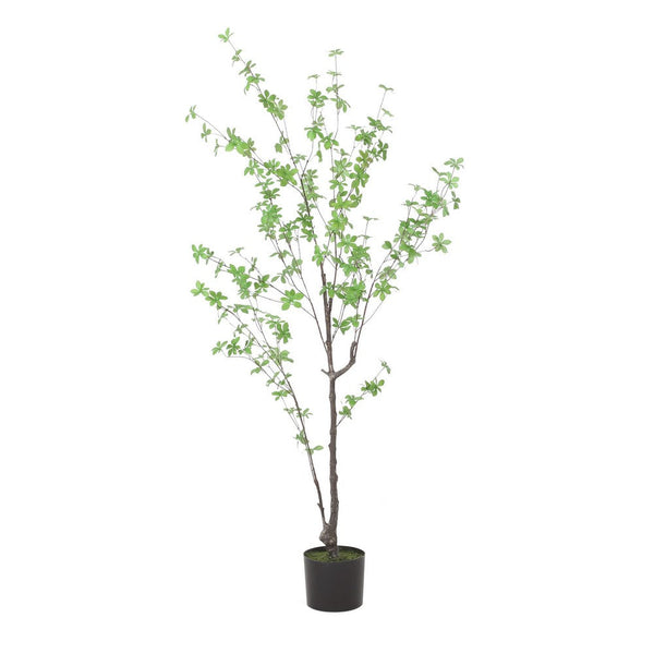 Yuri 59 Inch Artificial Enkianthus Tree, Pre Potted, Brown Green White -BM335239