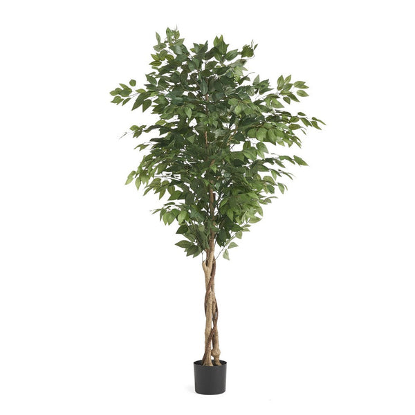 Deso Artificial Ficus Tree, Green Leaves w Twisted Trunk, 71 Inch -BM335369
