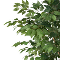 Deso Artificial Ficus Tree, Green Leaves w Twisted Trunk, 71 Inch -BM335369