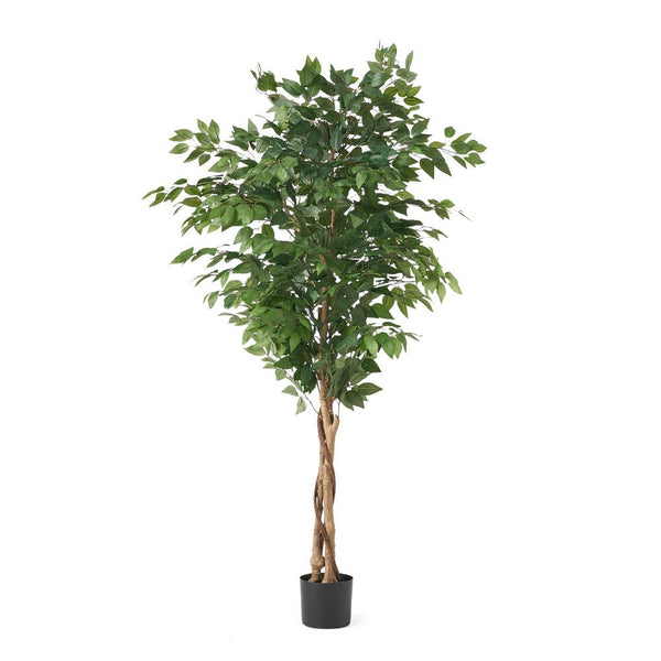 Deso Artificial Ficus Tree, Green Leaves w Twisted Trunk, 71 Inch -BM335369