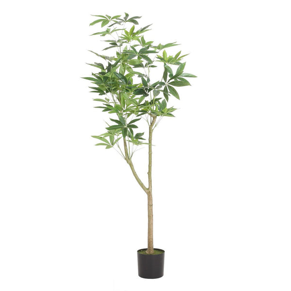 Leso Artificial Pachira Macrocarpa Money Plant, Hand Shaped 71 Inch  -BM335382