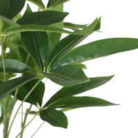 Leso Artificial Pachira Macrocarpa Money Plant, Hand Shaped 71 Inch  -BM335382