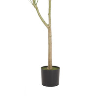 Leso Artificial Pachira Macrocarpa Money Plant, Hand Shaped 71 Inch  -BM335382