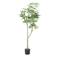 Leso Artificial Pachira Macrocarpa Money Plant, Hand Shaped 71 Inch  -BM335382