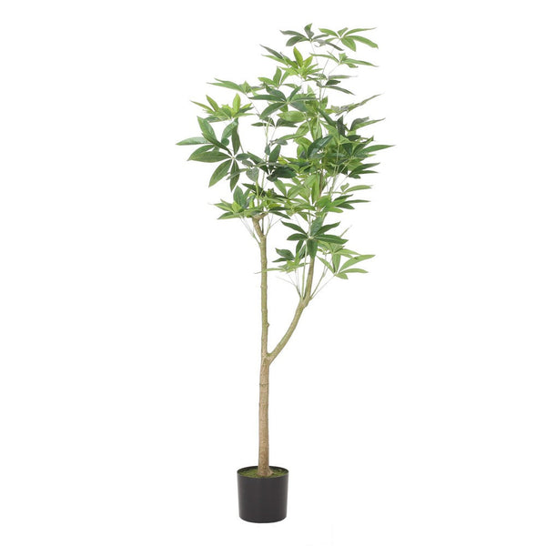 Leso Artificial Pachira Macrocarpa Money Plant, Hand Shaped 71 Inch  -BM335382