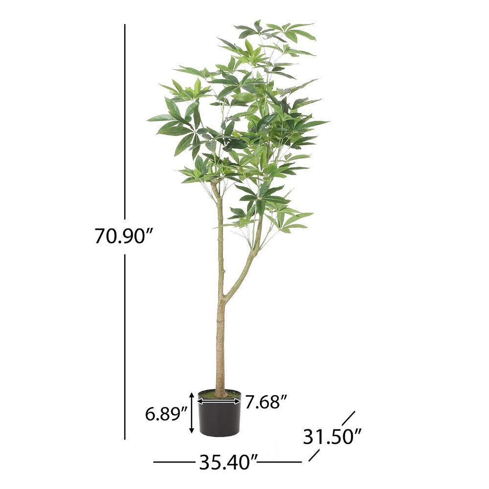 Leso Artificial Pachira Macrocarpa Money Plant, Hand Shaped 71 Inch  -BM335382