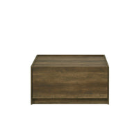 Trav Square Coffee Table, 2 Drawer, Raised Lip Tray Top, Brown 32 Inch -BM335494