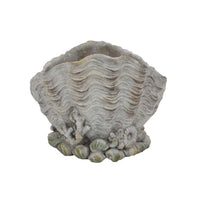 Coastal Clam Shell Planter w Coral Accents, Weathered Gray Terracotta -BM335556