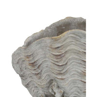 Coastal Clam Shell Planter w Coral Accents, Weathered Gray Terracotta -BM335556