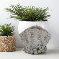 Coastal Clam Shell Planter w Coral Accents, Weathered Gray Terracotta -BM335556