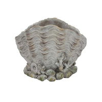 Coastal Clam Shell Planter w Coral Accents, Weathered Gray Terracotta -BM335556