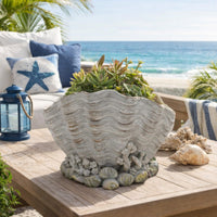 Coastal Clam Shell Planter w Coral Accents, Weathered Gray Terracotta -BM335556