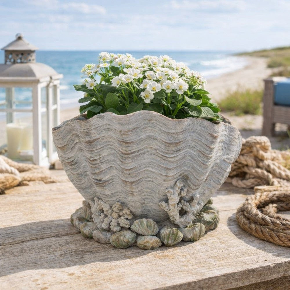Coastal Clam Shell Planter w Coral Accents, Weathered Gray Terracotta -BM335556