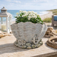 Coastal Clam Shell Planter w Coral Accents, Weathered Gray Terracotta -BM335556