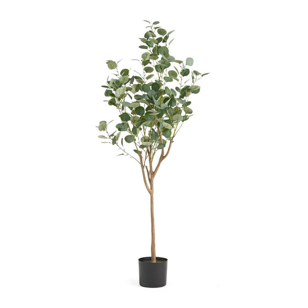Zylo Faux Tree Eucolites Plant, 59 Inch, Green Polyester -BM335721