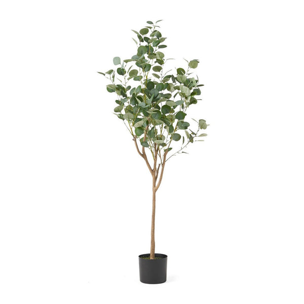 Zylo Faux Tree Eucolites Plant, 59 Inch, Green Polyester -BM335721