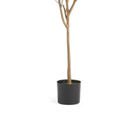 Zylo Faux Tree Eucolites Plant, 59 Inch, Green Polyester -BM335721