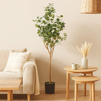 Zylo Faux Tree Eucolites Plant, 59 Inch, Green Polyester -BM335721