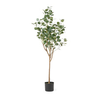 Zylo Faux Tree Eucolites Plant, 59 Inch, Green Polyester -BM335721
