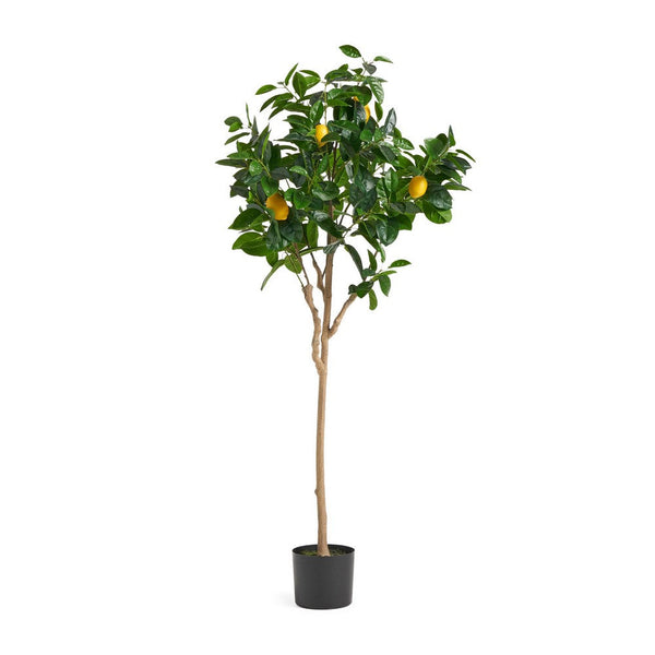 Zylo Decorative Faux Lemon Tree, 59 Inch, Green  -BM335725