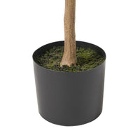 Zylo Decorative Faux Lemon Tree, 59 Inch, Green  -BM335725