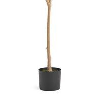 Zylo Decorative Faux Lemon Tree, 59 Inch, Green  -BM335725