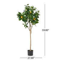 Zylo Decorative Faux Lemon Tree, 59 Inch, Green  -BM335725