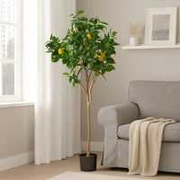 Zylo Decorative Faux Lemon Tree, 59 Inch, Green  -BM335725