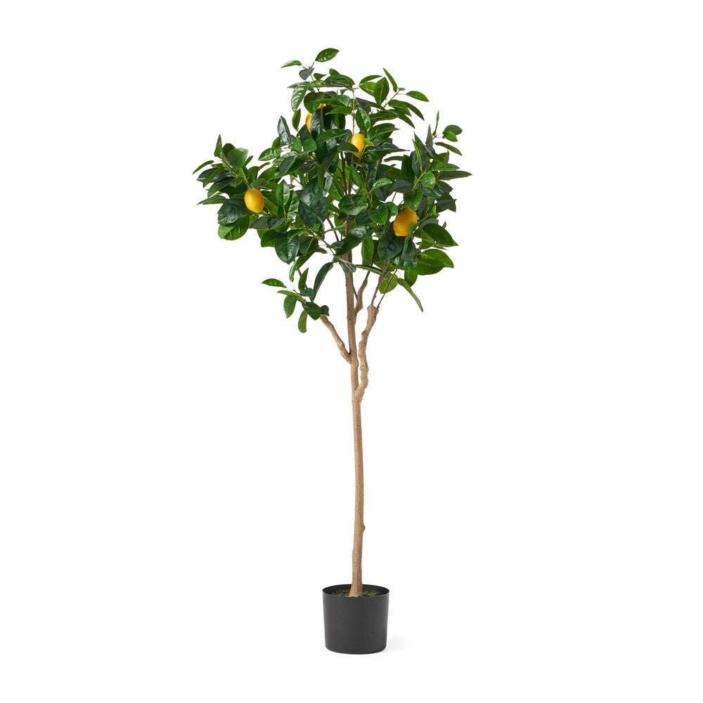 Zylo Decorative Faux Lemon Tree, 59 Inch, Green  -BM335725