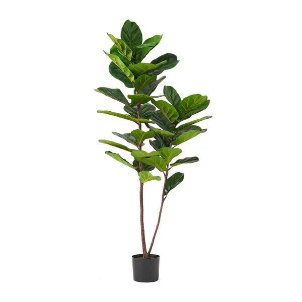 Zylo Decorative Faux Tree, Fiddle Leaf Fig, 59 Inch Modern Green -BM335728
