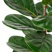Zylo Decorative Faux Tree, Fiddle Leaf Fig, 59 Inch Modern Green -BM335728