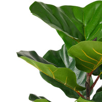 Zylo Tabletop Decorative Faux Tree, Fiddle Leaf Fig, 26 Inch Green -BM335729