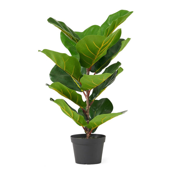 Zylo Tabletop Decorative Faux Tree, Fiddle Leaf Fig, 26 Inch Green -BM335729