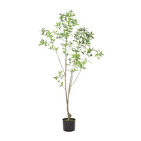 Zylo Decorative Faux Pieris Tree, 59 Inch Green and Brown Rattan -BM335733