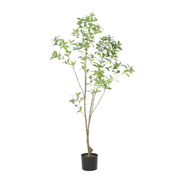 Zylo Decorative Faux Pieris Tree, 59 Inch Green and Brown Rattan -BM335733