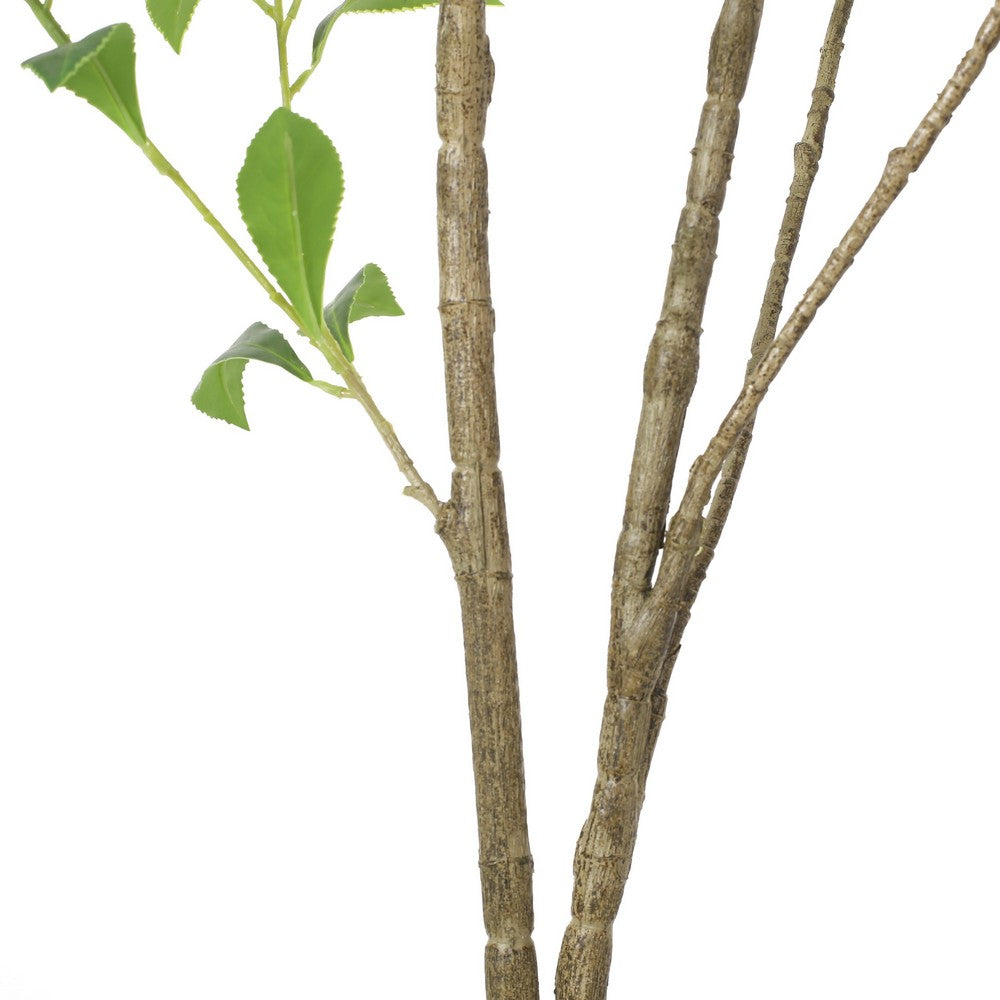 Zylo Decorative Faux Pieris Tree, 59 Inch Green and Brown Rattan -BM335733
