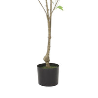 Zylo Decorative Faux Pieris Tree, 59 Inch Green and Brown Rattan -BM335733
