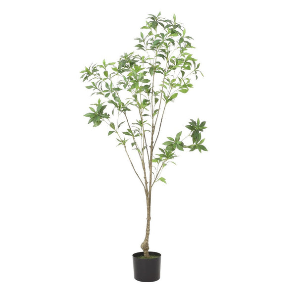 Zylo Decorative Faux Pieris Tree, 59 Inch Green and Brown Rattan -BM335733