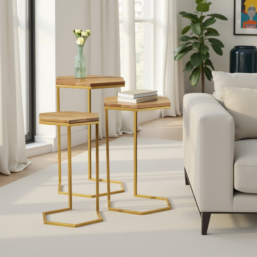 Nesting End Table Set of 3, Natural Brown Wood Gold Iron 26 25 22 Inch -BM336988