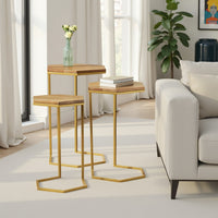 Nesting End Table Set of 3, Natural Brown Wood Gold Iron 26 25 22 Inch -BM336988
