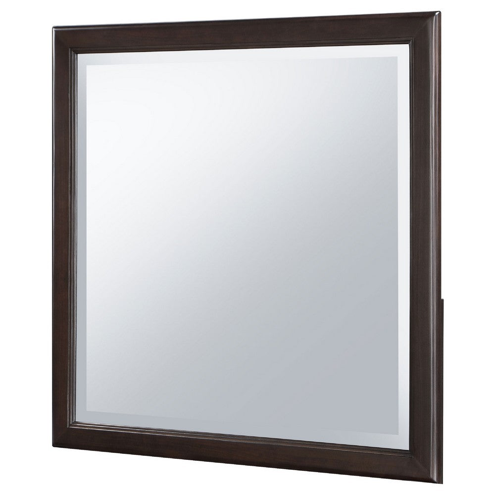Amber Dresser Mirror, Brown Wood Frame, Beveled Mirror Glass, 38 Inch - BM337943