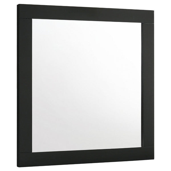 Caer Dresser Mirror, Rectangular Classic Black Asian Hardwood 35 Inch - BM337956