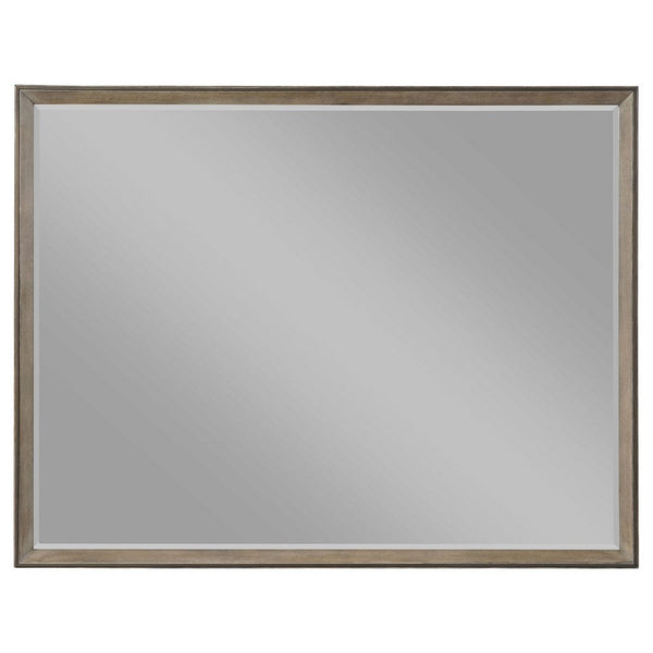 Lyni Dresser Mirror, Washed Oak Gray Wood Frame, Rectangular 40 Inch - BM338047