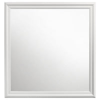 Nim Rectangular Dresser Mirror, Molded Trim Frame, 38 Inch White Wood - BM338138