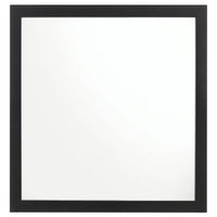 Dle Rectangular Dresser Mirror, Flush Frame, Flat Glass, Black Wood - BM338149