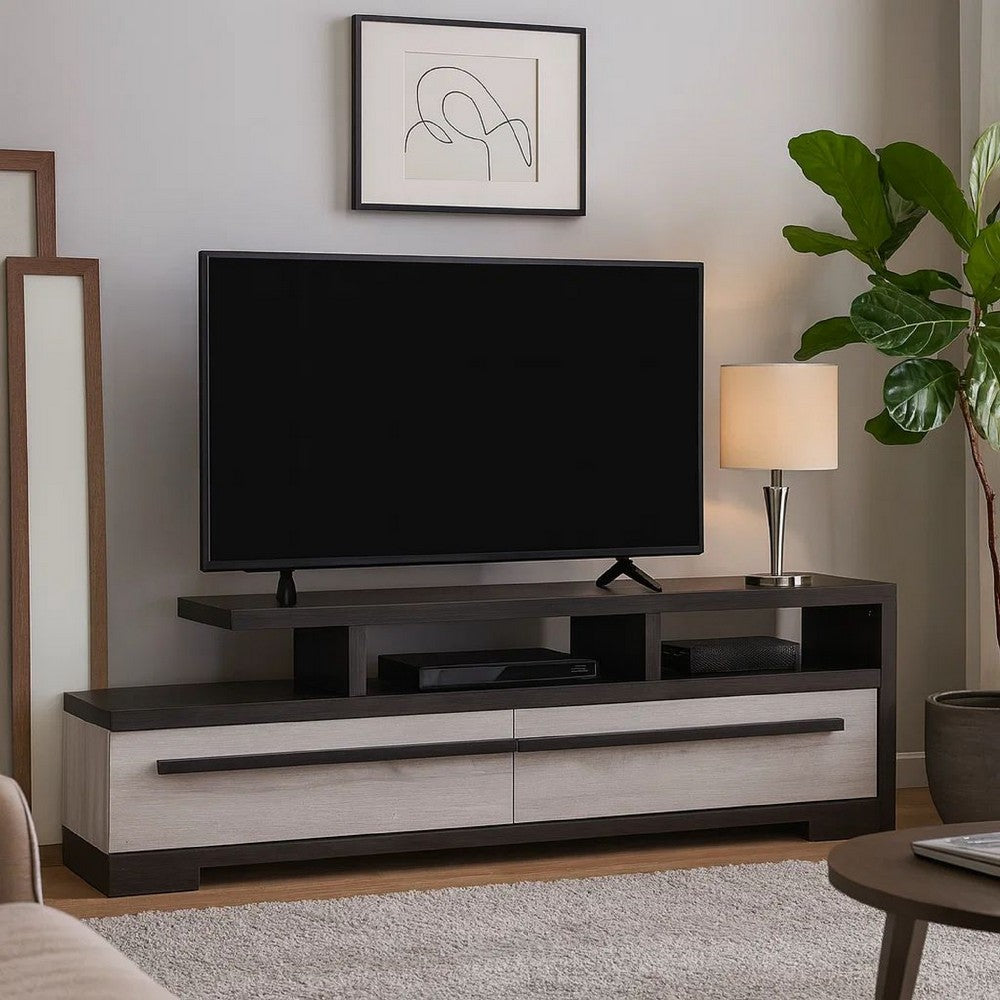Ruthe TV Stand Media Cabinet with 2 Drawers, Shelves, Black and White Wood -BM338413