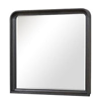 Osko 42 Inch Dresser Mirror, Rounded Edges, Black Poplar Wood - BM339292