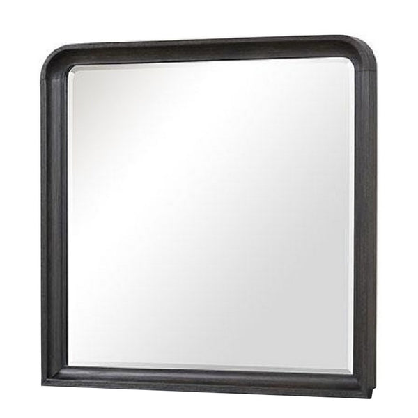Osko 42 Inch Dresser Mirror, Rounded Edges, Black Poplar Wood - BM339292