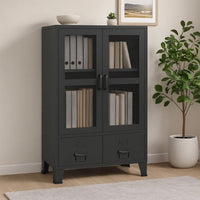 Coy Tall Storage Cabinet, 2 Drawers w 2 Mesh Front Doors, Metal Frame, Black - BM339684