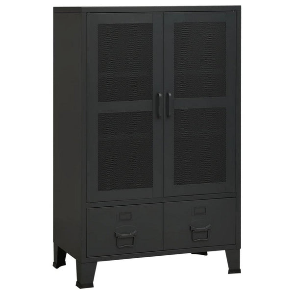 Coy Tall Storage Cabinet, 2 Drawers w 2 Mesh Front Doors, Metal Frame, Black - BM339684